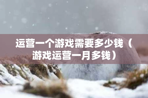 运营一个游戏需要多少钱（游戏运营一月多钱）