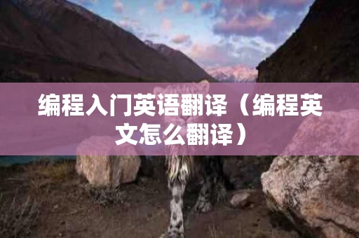 编程入门英语翻译（编程英文怎么翻译）