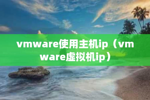 vmware使用主机ip（vmware虚拟机ip）