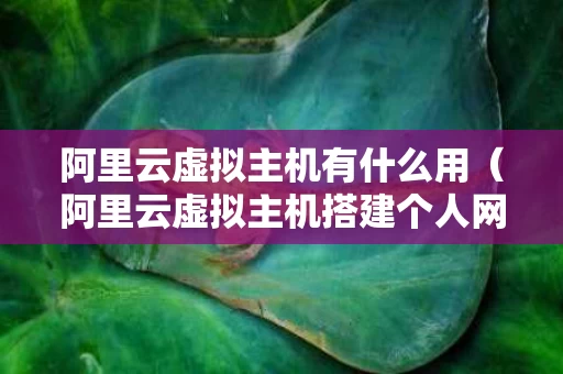 阿里云虚拟主机有什么用（阿里云虚拟主机搭建个人网站）