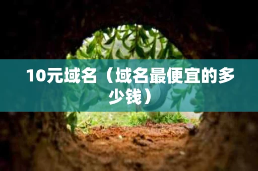 10元域名（域名最便宜的多少钱）