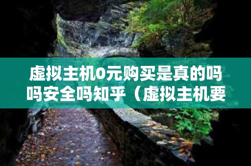 虚拟主机0元购买是真的吗吗安全吗知乎（虚拟主机要钱吗）