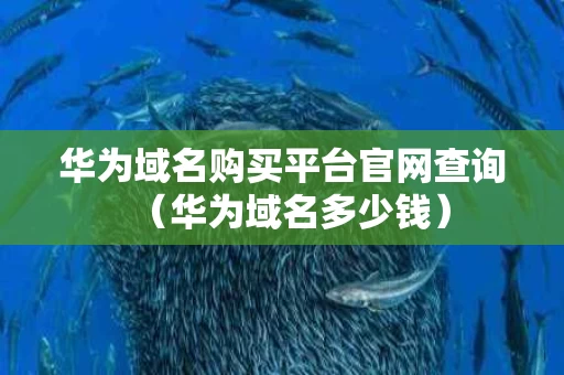 华为域名购买平台官网查询（华为域名多少钱）