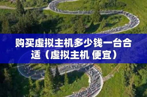 购买虚拟主机多少钱一台合适（虚拟主机 便宜）