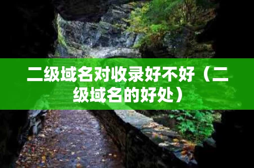 二级域名对收录好不好（二级域名的好处）