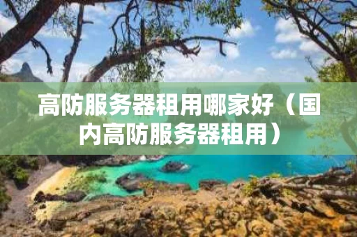 高防服务器租用哪家好（国内高防服务器租用）
