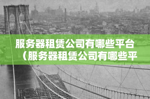 服务器租赁公司有哪些平台（服务器租赁公司有哪些平台可以用）