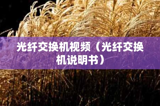 光纤交换机视频（光纤交换机说明书）