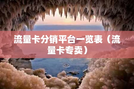 流量卡分销平台一览表（流量卡专卖）