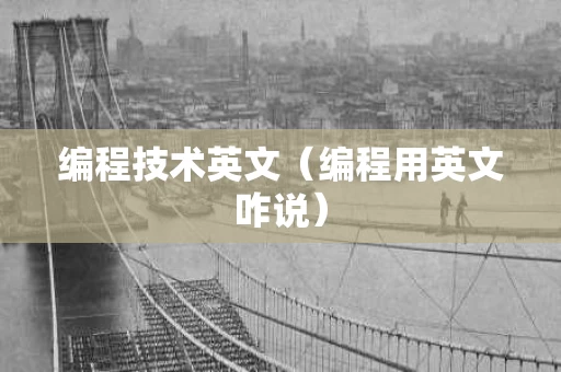 编程技术英文（编程用英文咋说）