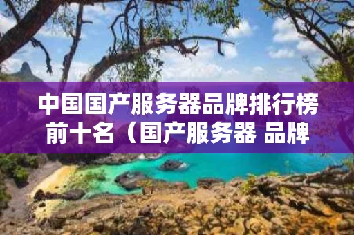 中国国产服务器品牌排行榜前十名（国产服务器 品牌）