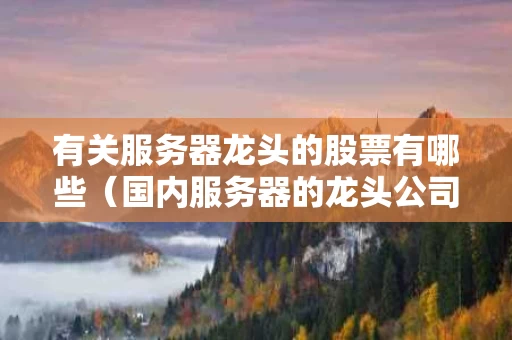 有关服务器龙头的股票有哪些（国内服务器的龙头公司）