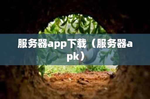 服务器app下载（服务器apk）