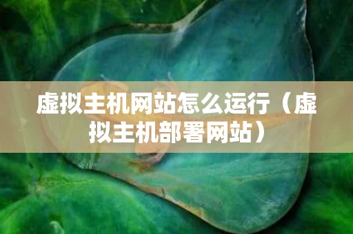 虚拟主机网站怎么运行（虚拟主机部署网站）
