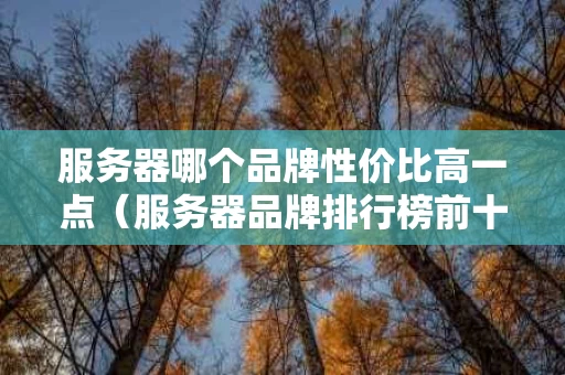 服务器哪个品牌性价比高一点（服务器品牌排行榜前十名）
