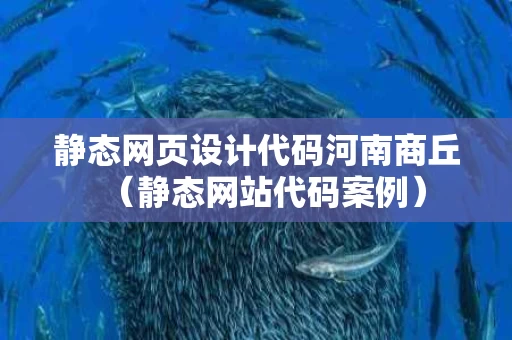 静态网页设计代码河南商丘（静态网站代码案例）