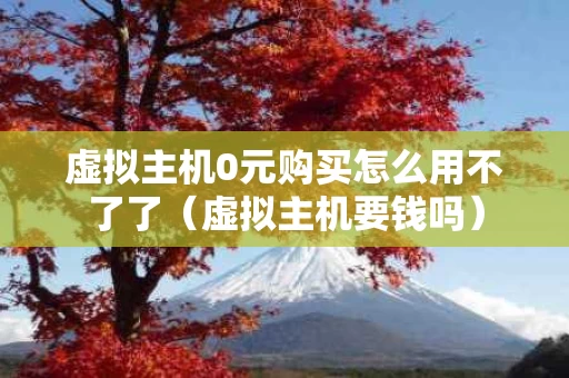 虚拟主机0元购买怎么用不了了（虚拟主机要钱吗）