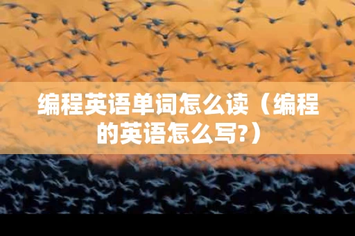 编程英语单词怎么读（编程的英语怎么写?）