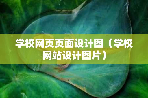 学校网页页面设计图（学校网站设计图片）
