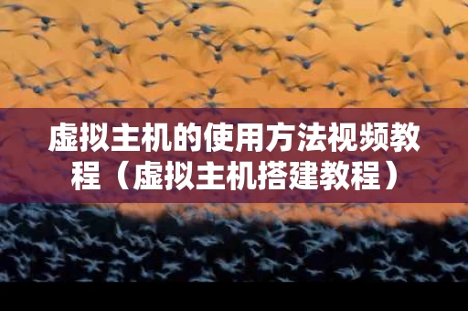 虚拟主机的使用方法视频教程（虚拟主机搭建教程）