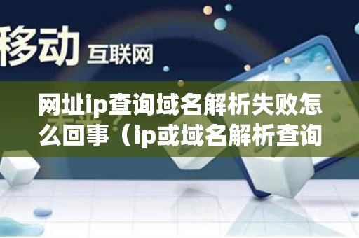 网址ip查询域名解析失败怎么回事（ip或域名解析查询）