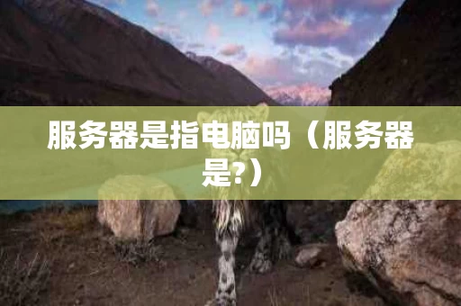 服务器是指电脑吗（服务器是?）