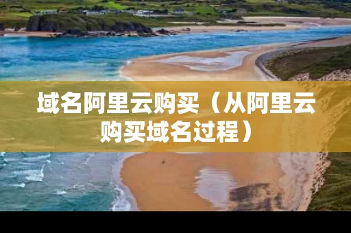 域名阿里云购买（从阿里云购买域名过程）