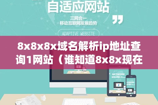 8x8x8x域名解析ip地址查询1网站（谁知道8x8x现在的域名）