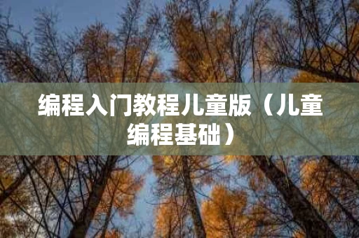 编程入门教程儿童版（儿童编程基础）