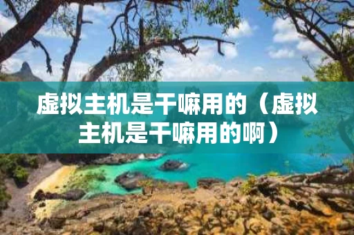 虚拟主机是干嘛用的（虚拟主机是干嘛用的啊）