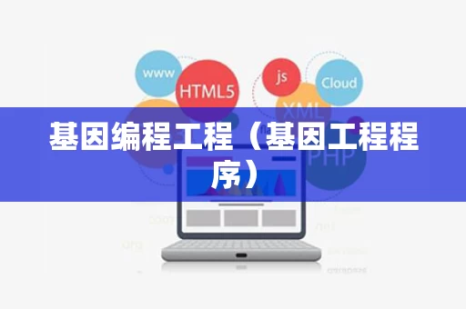 基因编程工程（基因工程程序）