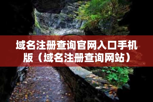 域名注册查询官网入口手机版（域名注册查询网站）