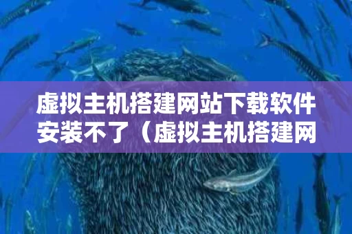 虚拟主机搭建网站下载软件安装不了（虚拟主机搭建网站下载软件安装不了怎么办）