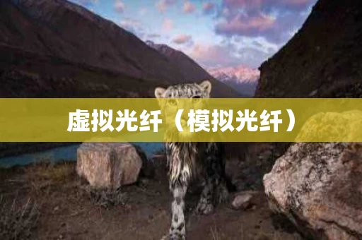 虚拟光纤（模拟光纤）
