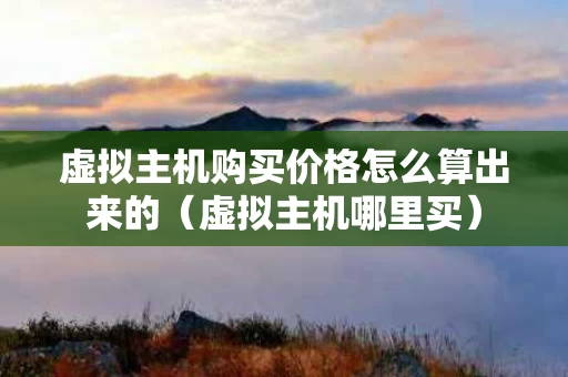 虚拟主机购买价格怎么算出来的（虚拟主机哪里买）