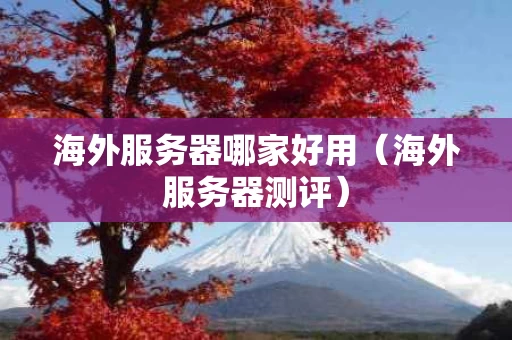 海外服务器哪家好用（海外服务器测评）