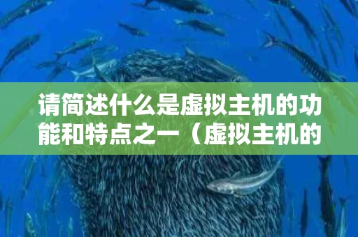 请简述什么是虚拟主机的功能和特点之一（虚拟主机的名词解释）