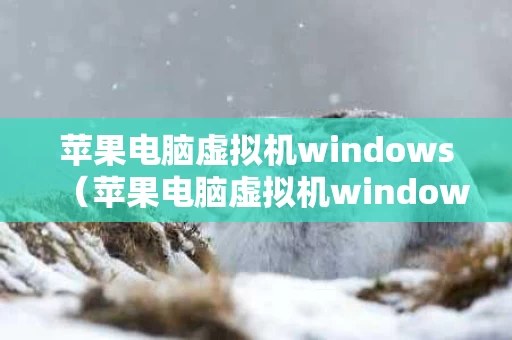 苹果电脑虚拟机windows（苹果电脑虚拟机windows登陆黑屏怎么办）