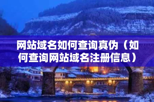 网站域名如何查询真伪（如何查询网站域名注册信息）
