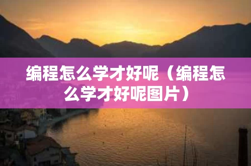 编程怎么学才好呢（编程怎么学才好呢图片）