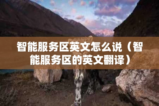 智能服务区英文怎么说（智能服务区的英文翻译）