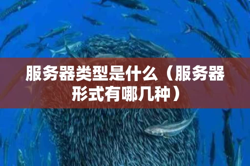 服务器类型是什么（服务器形式有哪几种）