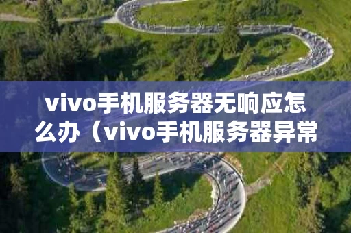 vivo手机服务器无响应怎么办（vivo手机服务器异常怎么办）