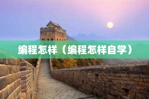 编程怎样（编程怎样自学）