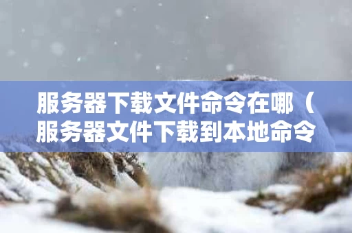 服务器下载文件命令在哪（服务器文件下载到本地命令）