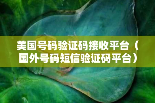 美国号码验证码接收平台（国外号码短信验证码平台）