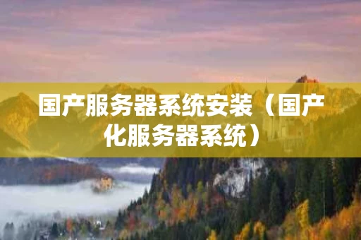 国产服务器系统安装（国产化服务器系统）