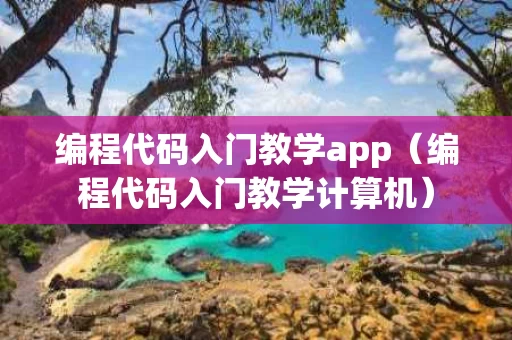 编程代码入门教学app（编程代码入门教学计算机）