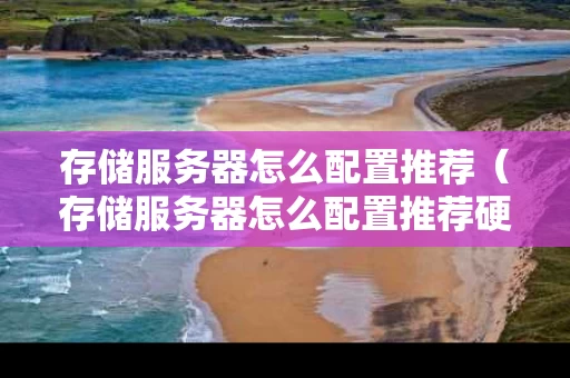 存储服务器怎么配置推荐（存储服务器怎么配置推荐硬盘）