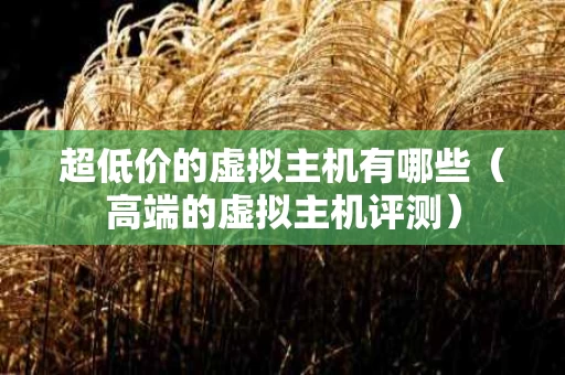 超低价的虚拟主机有哪些（高端的虚拟主机评测）